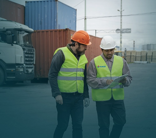 Agenciamiento de Aduana